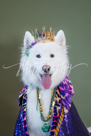 _DSC5635-Edit-2