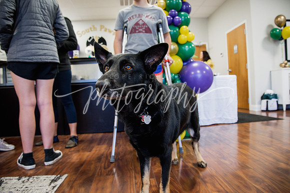 _DSC8627