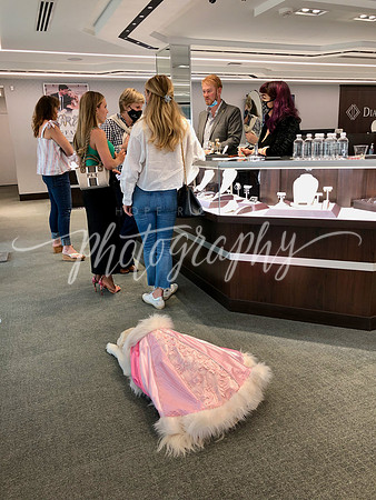 IMG_1665