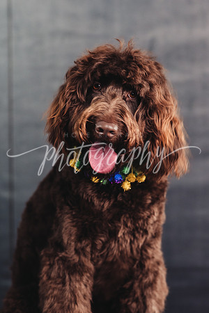 _DSC5307