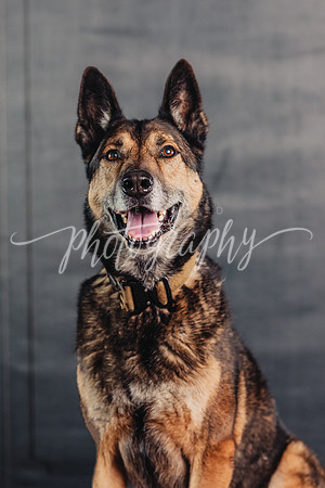 _DSC5622-Edit