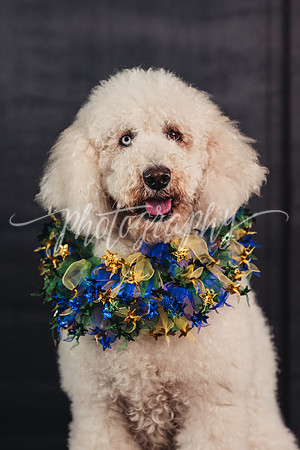 Scepter Bearer Winnie