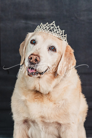 Queen Lili