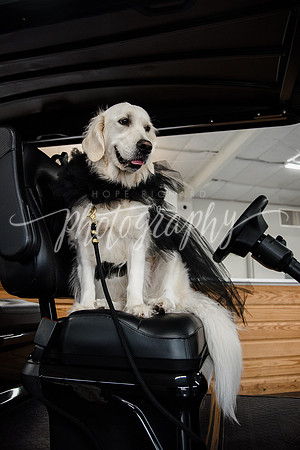 _DSC0048