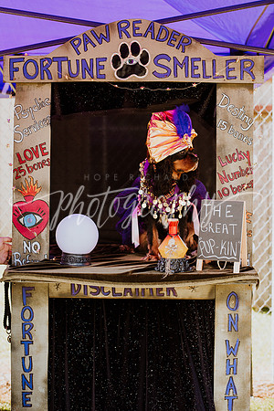 _DSC0133