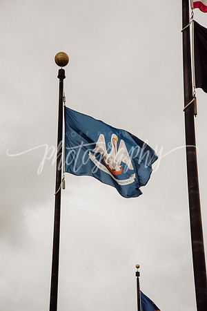 _DSC8148