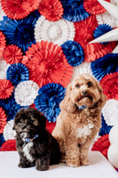 Red White & Woof Sessions 2026
