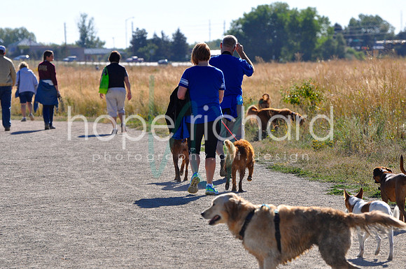 DSC_0289