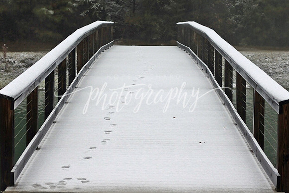 IMG_4214 copy