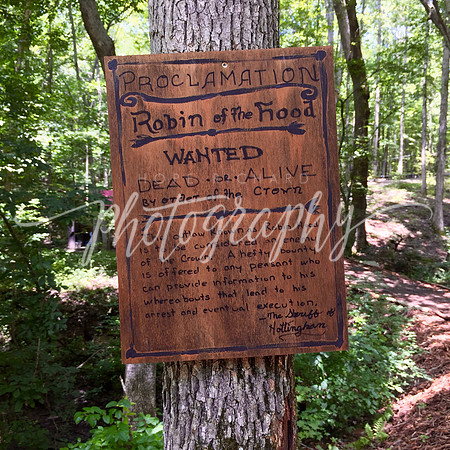 IMG_8786