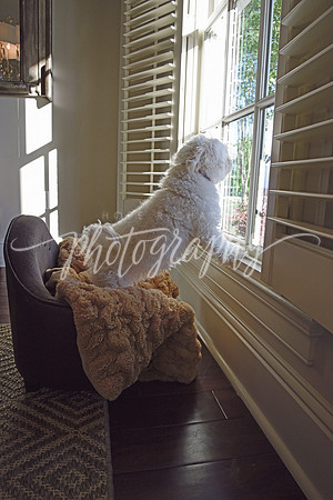 _DSC1120 copy