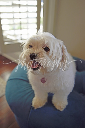 _DSC1227 copy