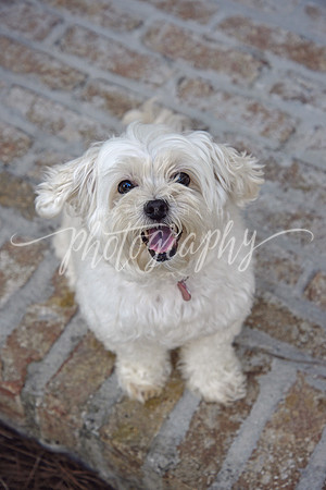 _DSC1173 copy