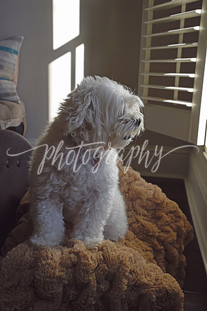 _DSC1145 copy