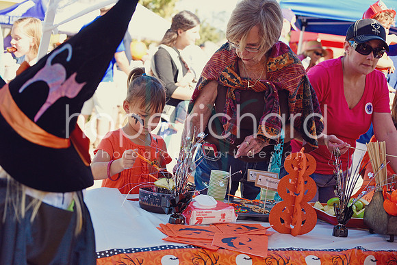 DSC_2938 copy