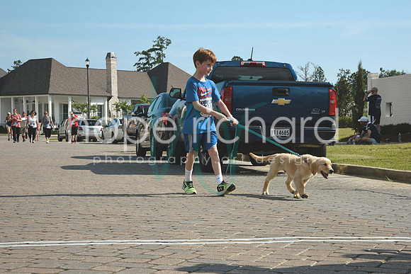 _DSC1708 copy