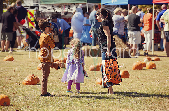 DSC_2973 copy
