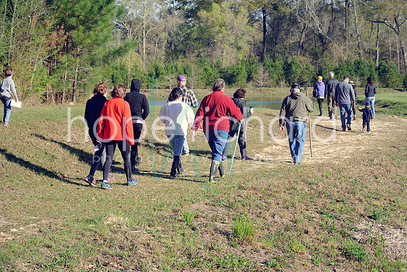 DSC_6202 copy