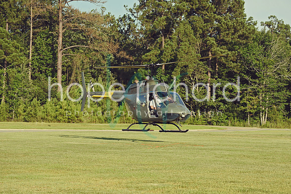 DSC_7356 copy