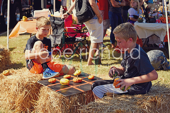 DSC_2999 copy
