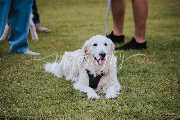 _DSC0731