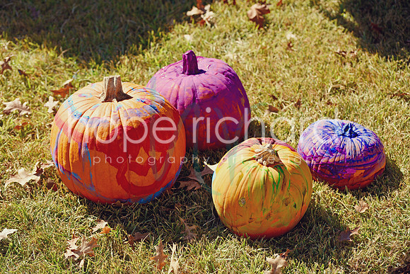 DSC_2930 copy
