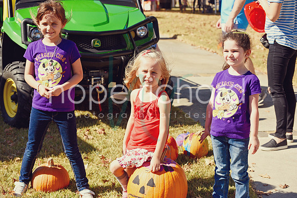 DSC_2929 copy