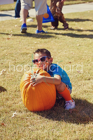 DSC_2919 copy
