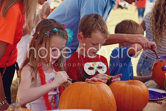 DSC_3023 copy
