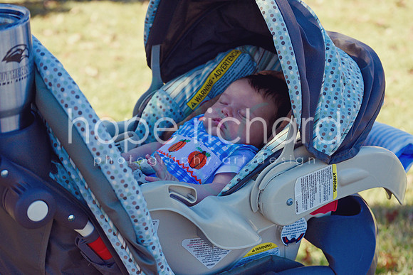DSC_2937 copy