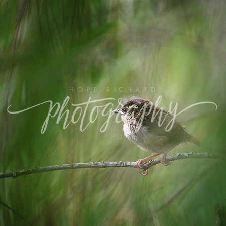 B4F5BC58-0FDC-48E9-A71C-BE0538DC04B6