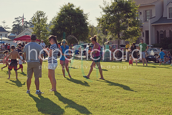 DSC_7308 copy
