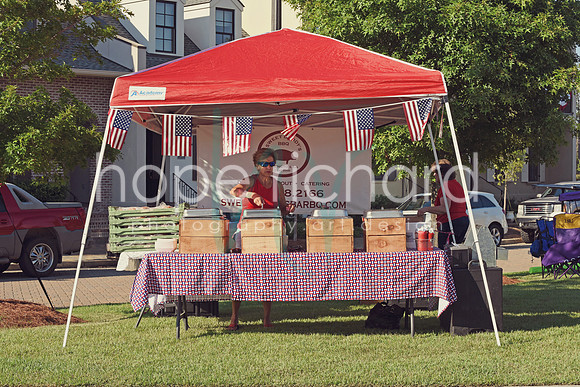 DSC_7260 copy