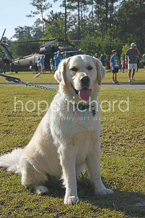 _DSC1588 copy