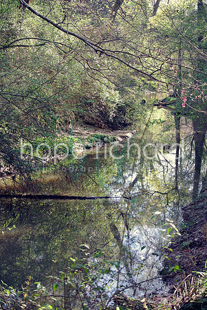 DSC_6244 copy