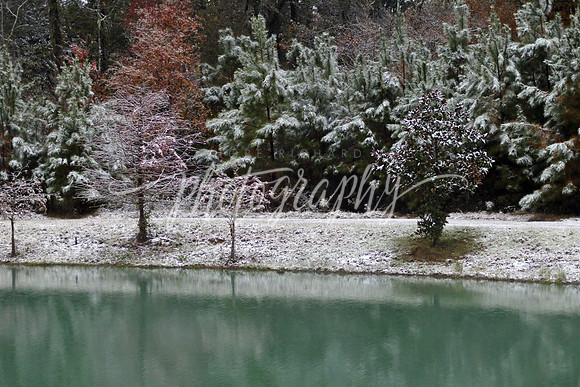 IMG_4212 copy