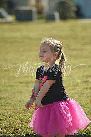 _DSC6181 copy