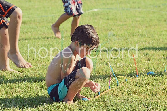 DSC_7339 copy