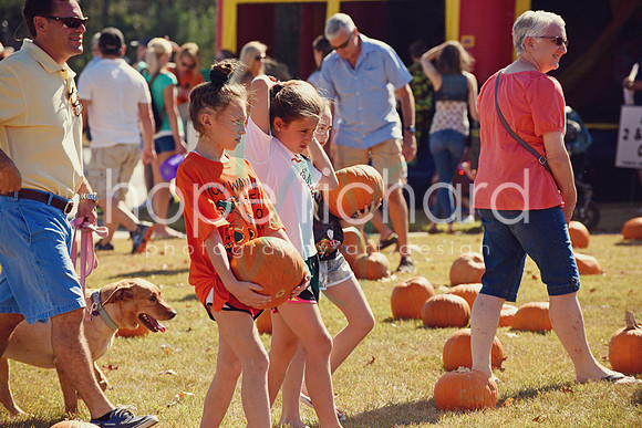 DSC_2926 copy