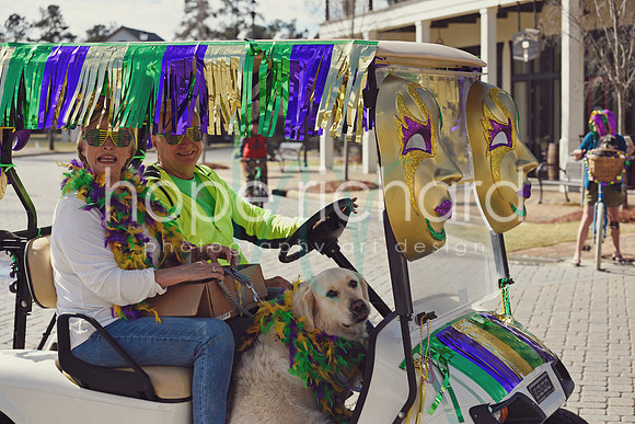 _DSC7517 copy