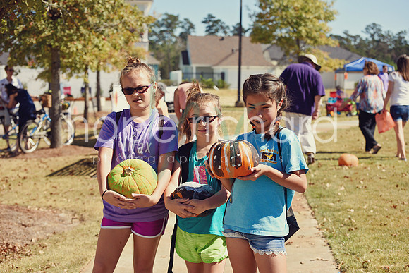 DSC_3046 copy