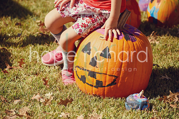 DSC_2928 copy
