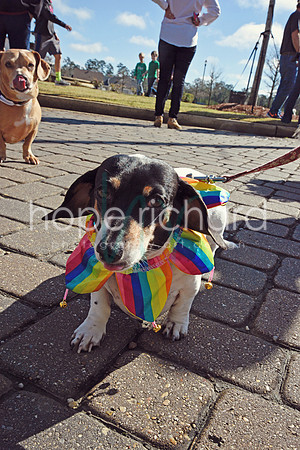 _DSC7446 copy