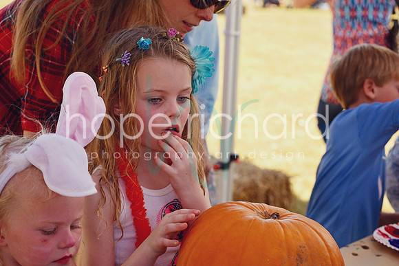 DSC_3020 copy