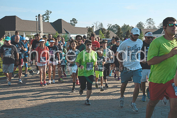 _DSC1504 copy