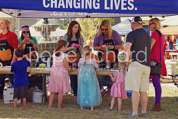 DSC_2884 copy