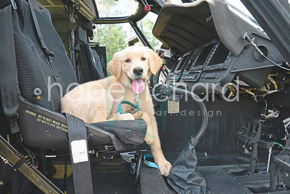 _DSC1768 copy