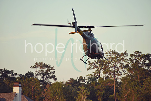 DSC_7431 copy