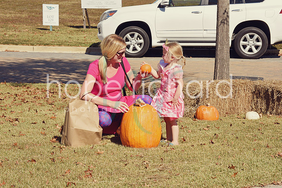 DSC_2878 copy