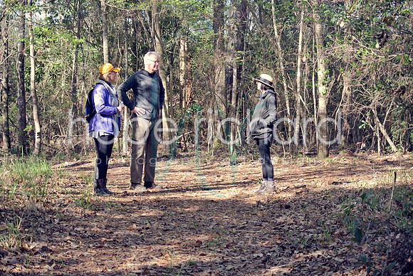 DSC_6268 copy